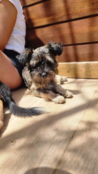 3e8d8897-cb8c-484c-a599-faf79bb43917