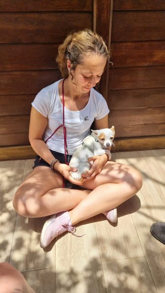 55159ce9-c025-4826-848f-aae91ac460aa