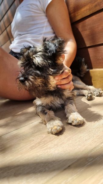 7dcb3653-7d4a-4999-96f9-b3dd3017f5a4