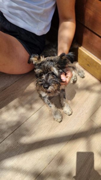 7f3a76e3-5044-45be-a9c8-b335219cda5d