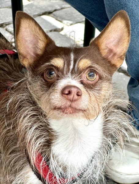 Foto 1-5-25, 14 22 41