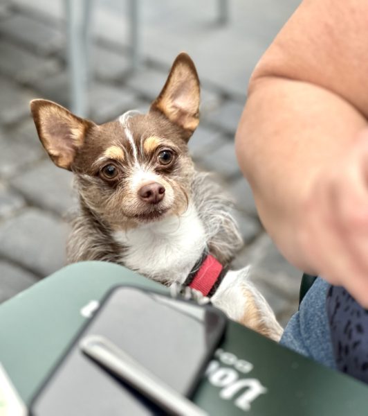 Foto 1-5-25, 14 47 50