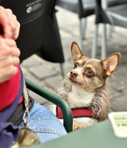 Foto 1-5-25, 14 48 02