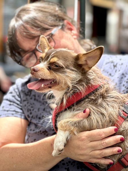 Foto 1-5-25, 15 22 46