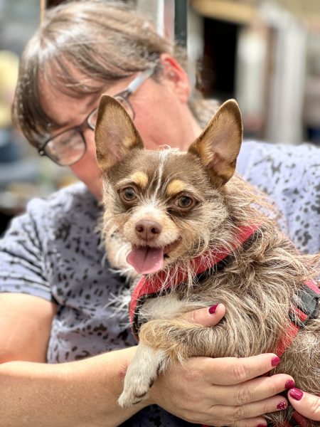 Foto 1-5-25, 15 22 48