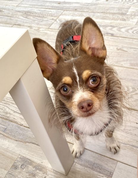 Foto 2-8-24, 11 51 59