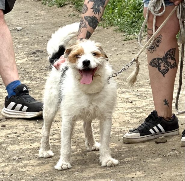 Foto 28-4-25, 15 42 10