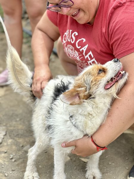 Foto 28-4-25, 15 42 58