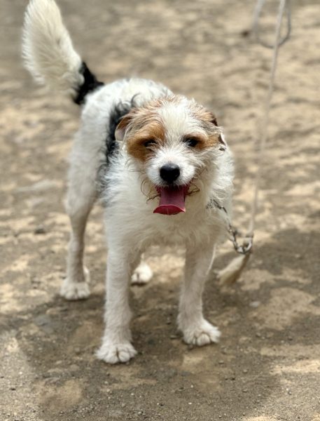 Foto 28-4-25, 15 43 52