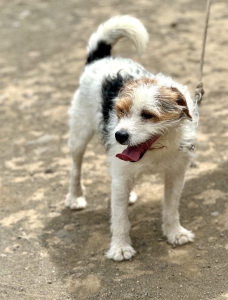 Foto 28-4-25, 15 43 54