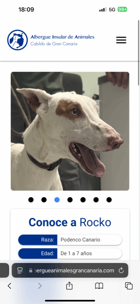 Foto 29-4-25, 18 09 28