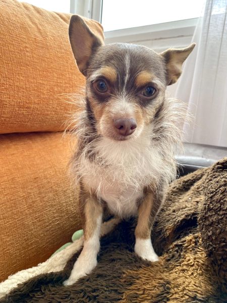 Foto 7-8-24, 20 29 32