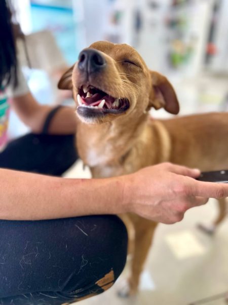 IMAGE 2025-08-27 21:52:47