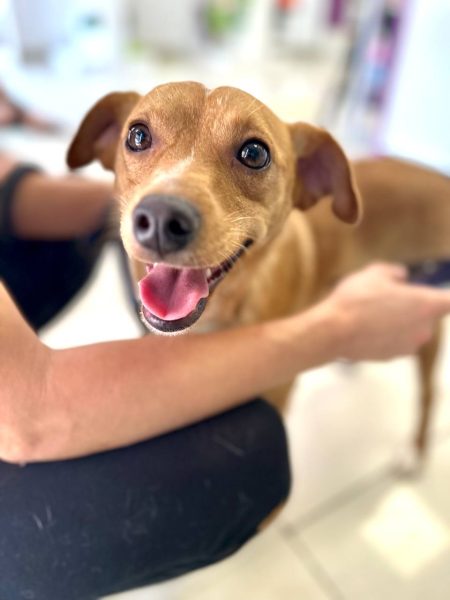 IMAGE 2025-08-27 21:52:49