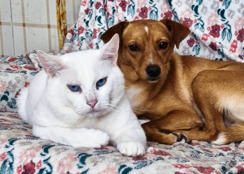 IMAGE 2025-08-27 21:52:52