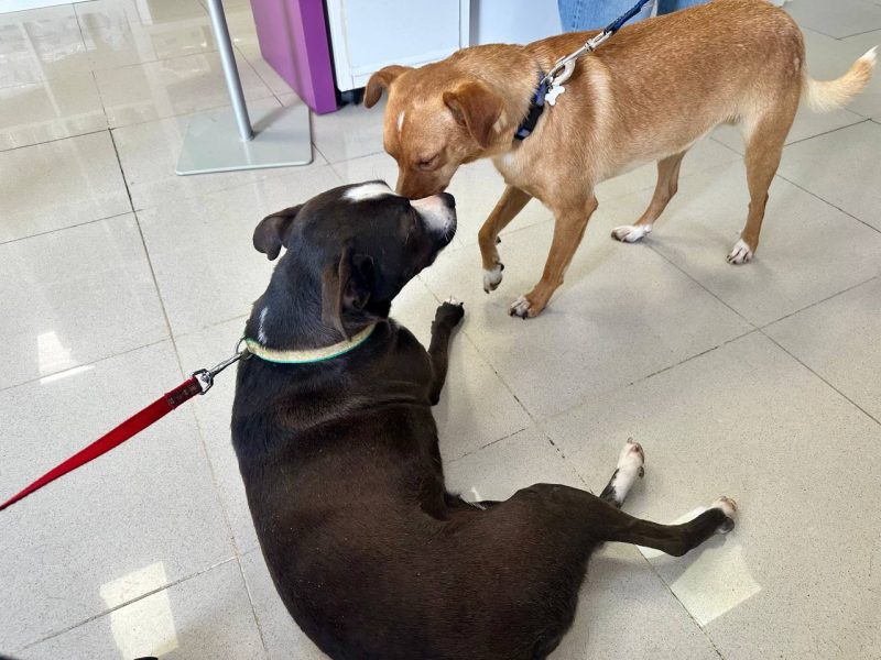 IMAGE 2025-08-27 21:52:59