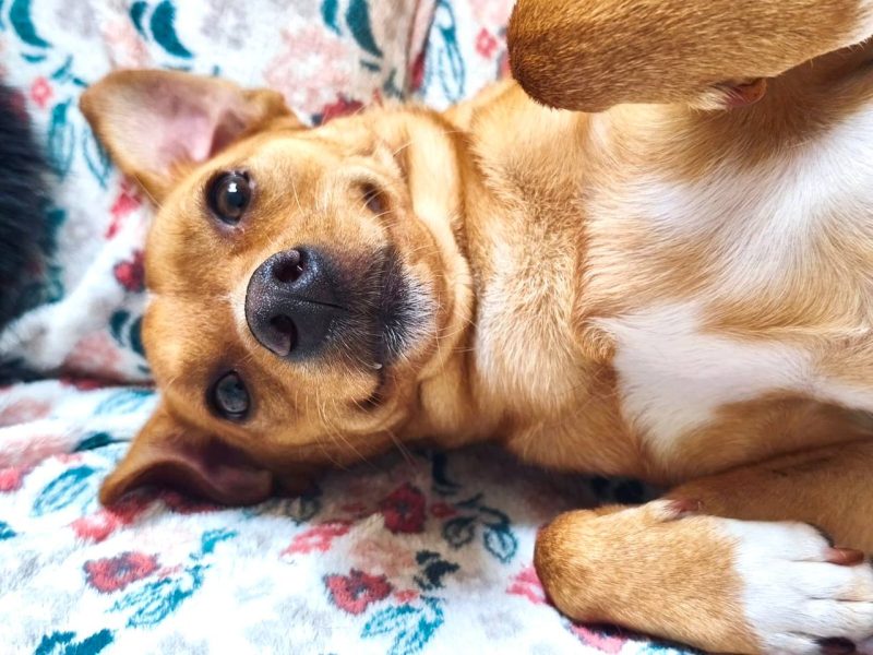 IMAGE 2025-08-27 21:53:14