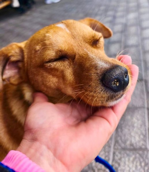 IMAGE 2025-08-27 21:53:23