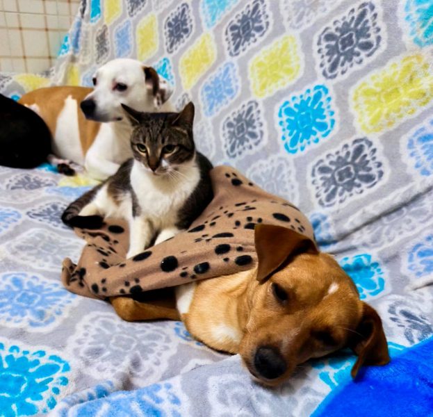 IMAGE 2025-08-27 21:53:26