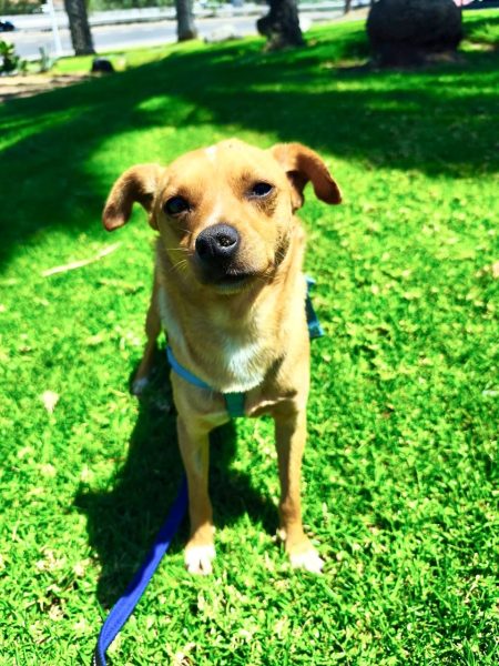 IMAGE 2025-08-27 21:53:30