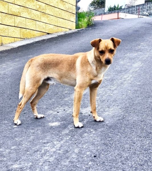 IMAGE 2025-08-27 21:53:34