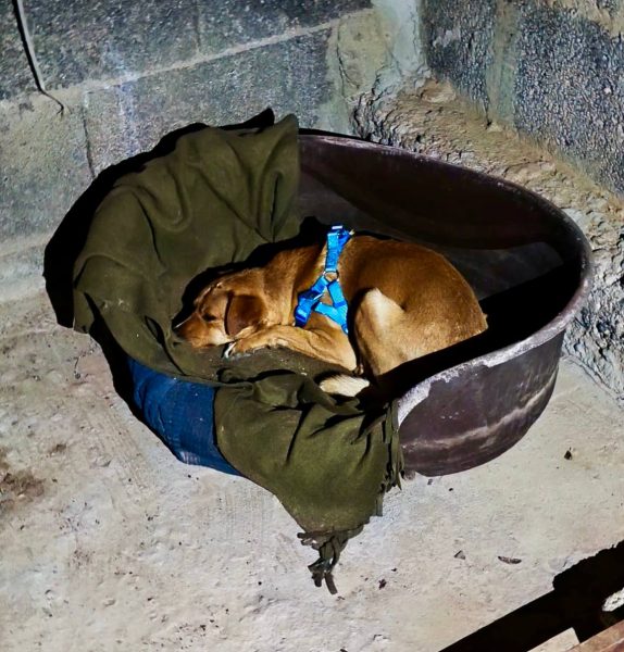 IMAGE 2025-08-27 21:53:55