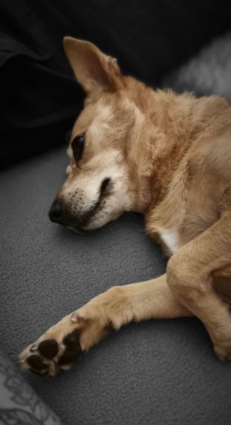 PHOTO-2025-08-03-21-10-43 2