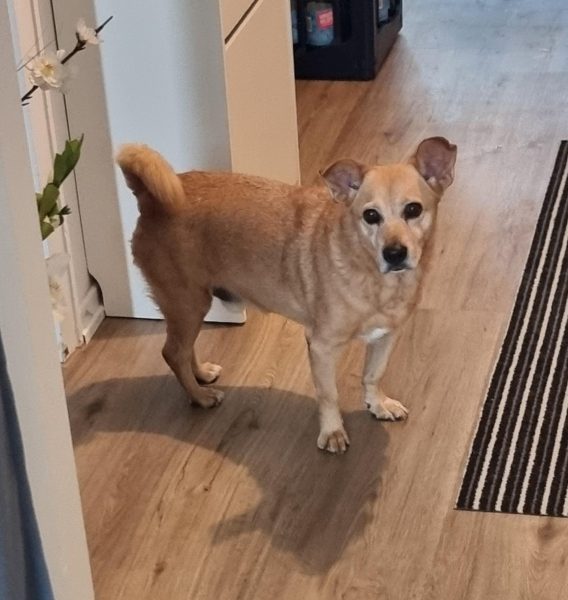 PHOTO-2025-08-03-21-10-43 3