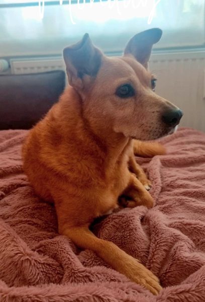 PHOTO-2025-08-04-09-13-17