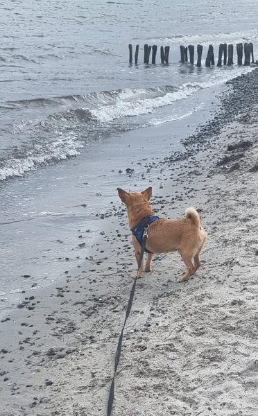 PHOTO-2025-08-06-17-32-46