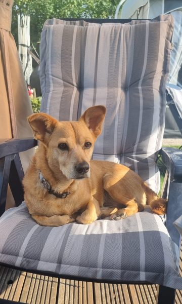 PHOTO-2025-08-08-17-28-11