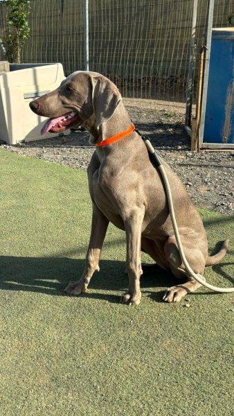 WhatsApp Image 2026-02-06 at 19.22.07 (1)