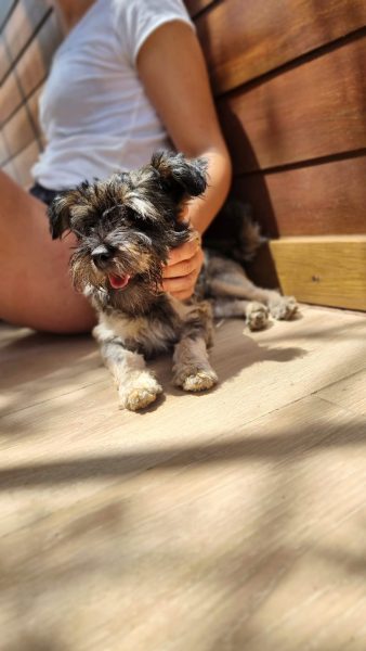 a08e63df-350f-45b6-8efd-0eb4bc9e78b4