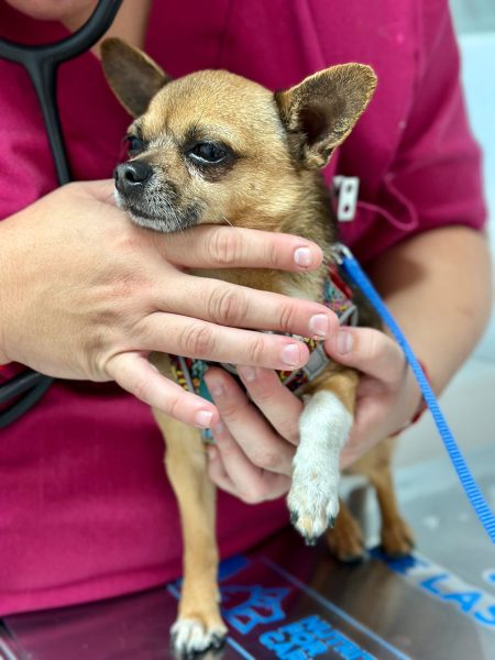 dc70846b-58ec-4d33-9295-8de77bc1c852