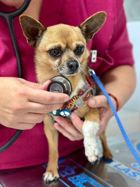 ff95bf74-3c34-4223-9bfe-aac167b34eb0