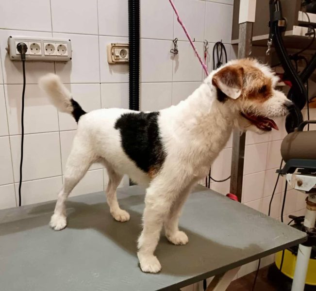 photo_2025-07-12 11.18.46