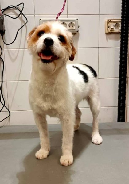 photo_2025-07-12 11.18.54