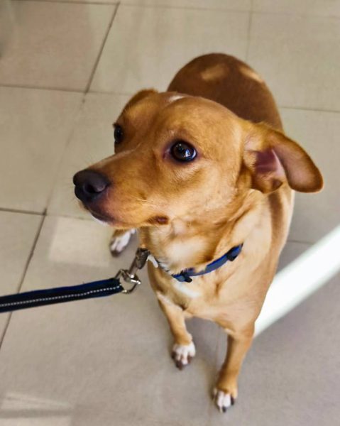 photo_2025-09-08 21.41.47