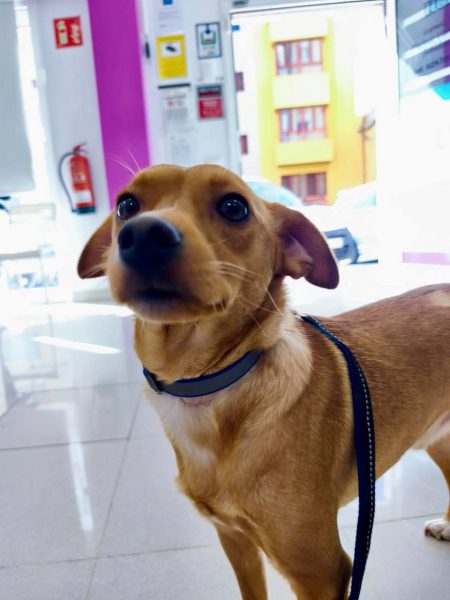 photo_2025-09-08 21.41.51