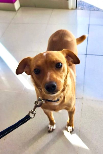 photo_2025-09-08 21.41.54