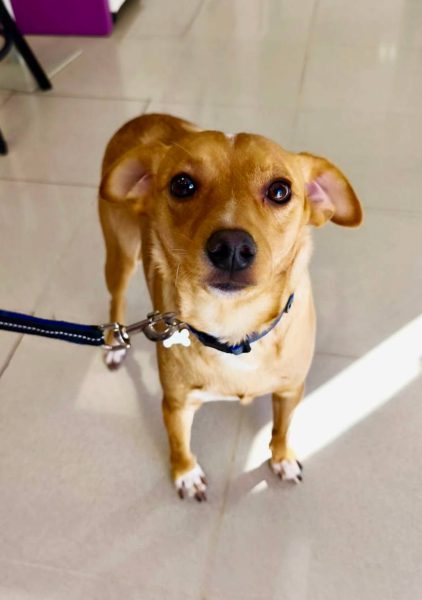 photo_2025-09-08 21.41.56