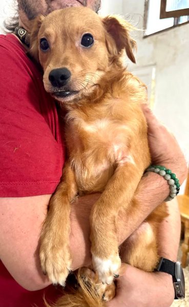 photo_2025-09-08 21.42.26