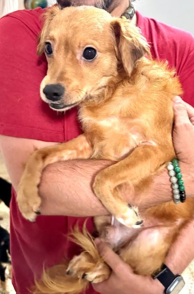 photo_2025-09-08 21.42.32