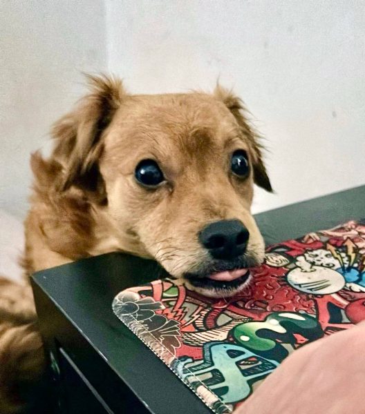 photo_2025-09-08 21.42.39