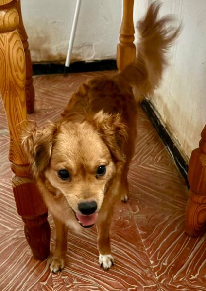 photo_2025-09-08 21.42.42