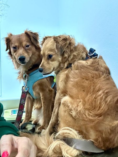 photo_2025-09-08 21.42.47