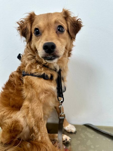 photo_2025-09-08 21.42.50