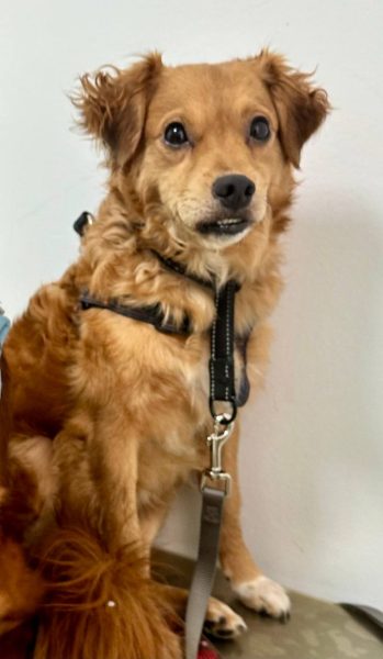 photo_2025-09-08 21.42.51