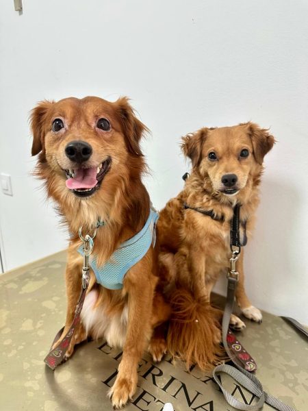 photo_2025-09-08 21.42.52