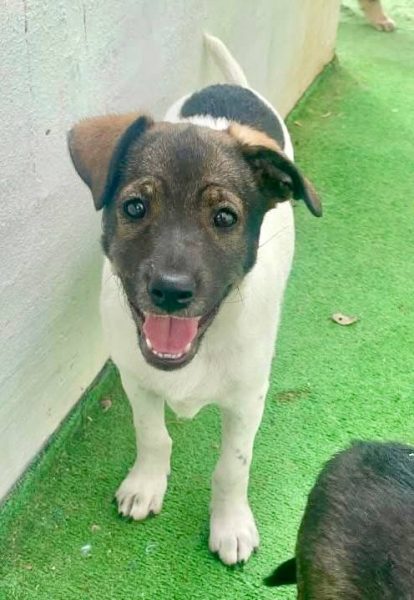 photo_2025-09-08 21.44.16